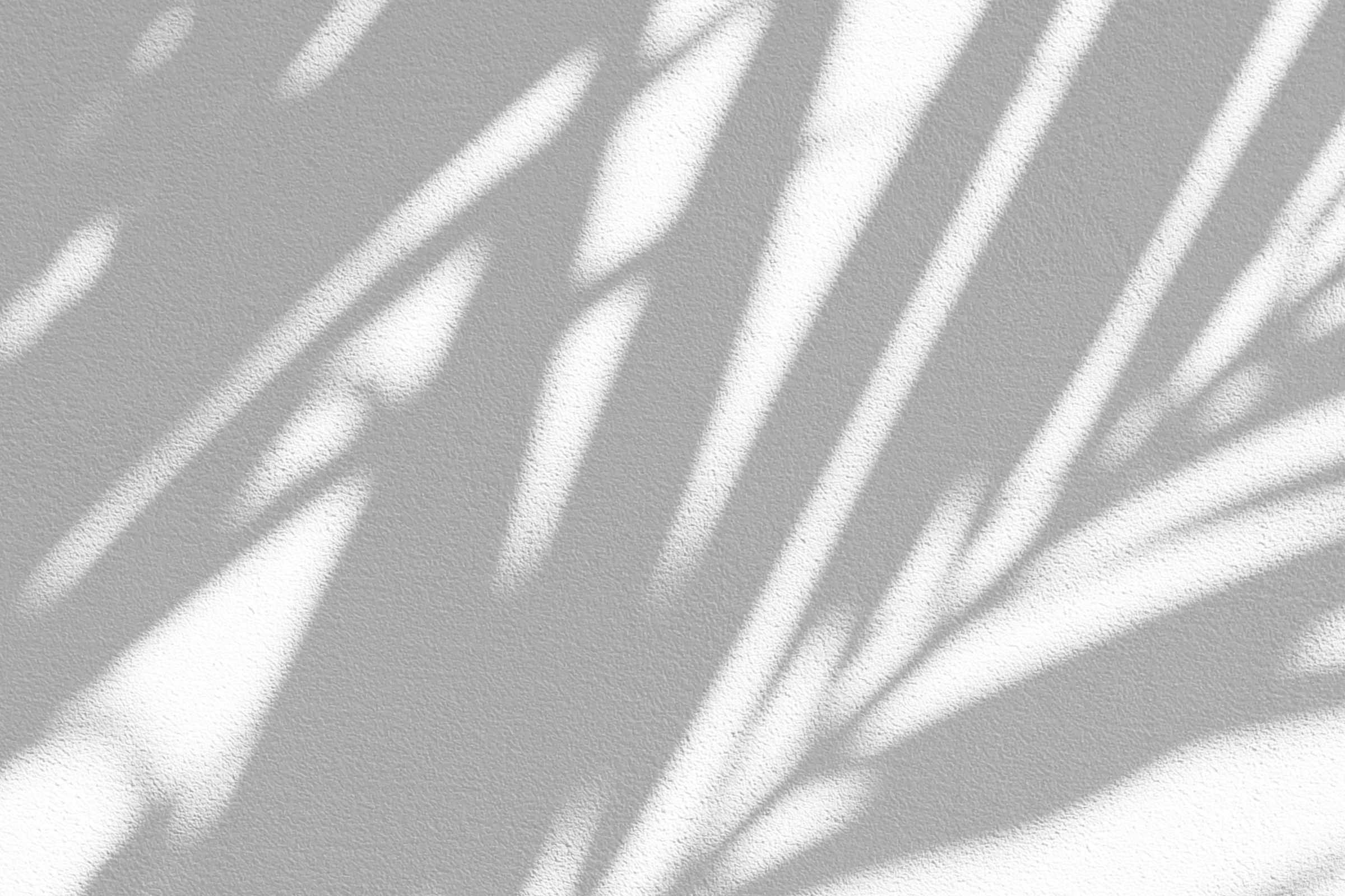 black-white-palms