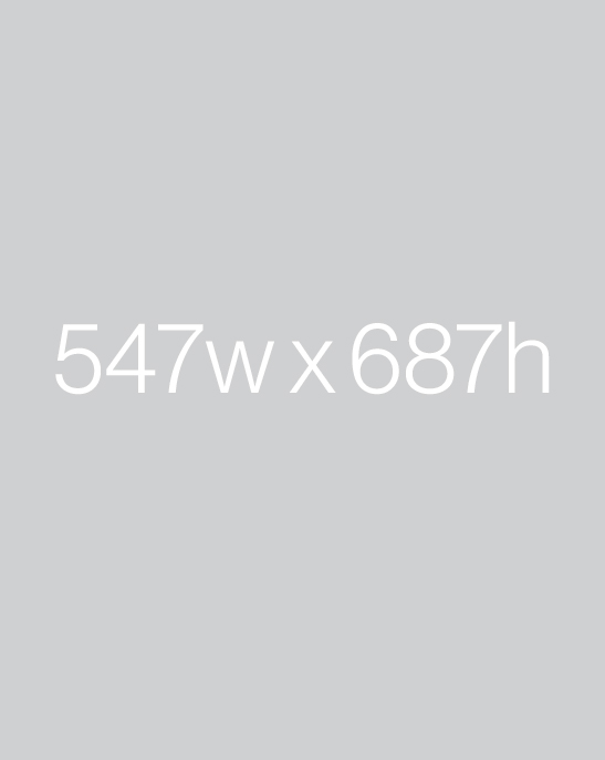 547×687-test