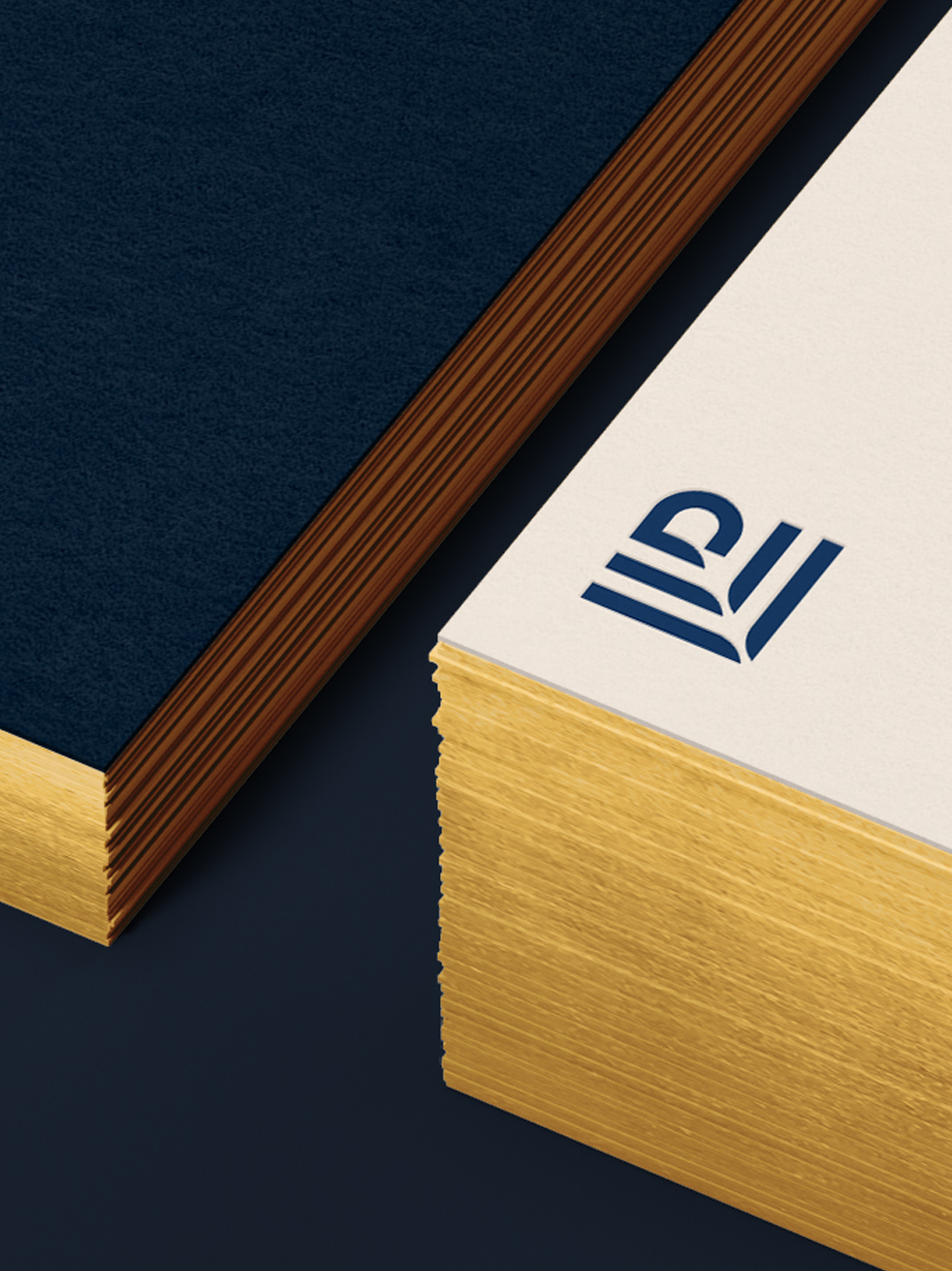 Leader-Lane-Developments-Logo-Detail-2048x